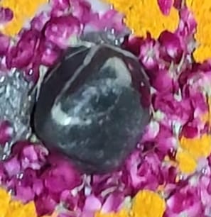  बरेली : खुदाई के दौरान शहर के मोहल्ला नई बस्ती माधव बाढी़में जमीन के गर्भ ग्रह से भोलेनाथ के प्रकट होने से शिव भक्तों में खुशी की लहर दौड़ पड़ी।
